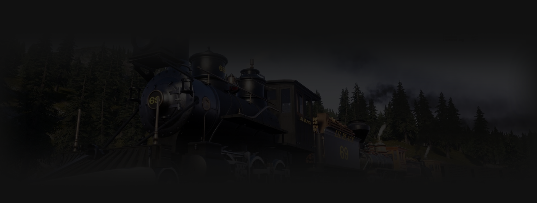 Footer image